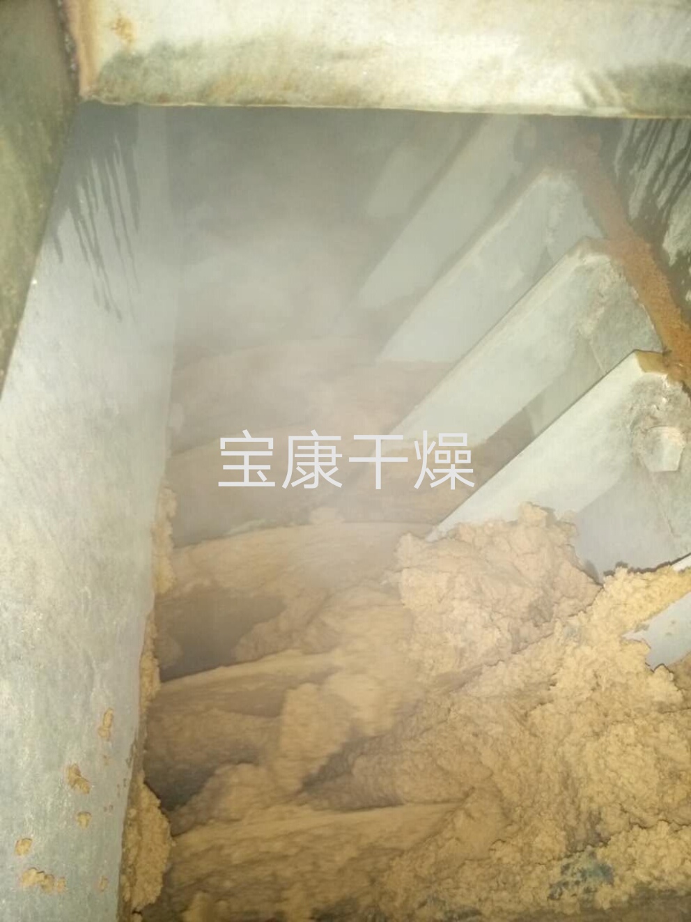 白蚁对